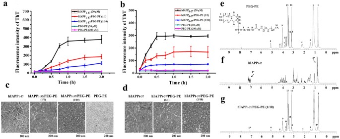 Dual Effect Of Peg Pe Micelle Over The Oligomerization And Fibrillation Of Human Islet Amyloid Polypeptide Scientific Reports