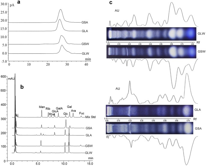 Comprehensive Comparison Of Polysaccharides From Ganoderma Lucidum General Chemical Characterization Of Glw Gsw Gla And Gsa A Typical Hpgpc Chromatograms Molecular Weight Distribution B Monosaccharide