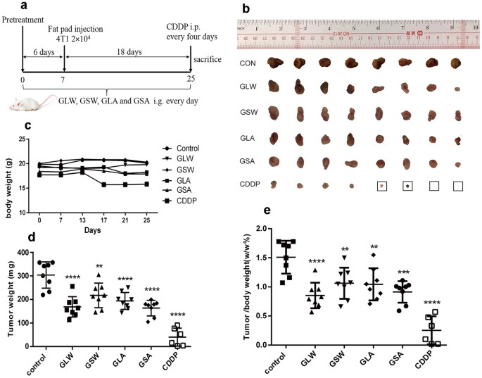 Comprehensive Comparison Of Polysaccharides From Ganoderma Lucidum Figure 4