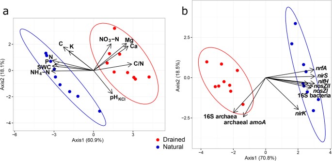 Differences In Microbial Community Structure And Nitrogen Cycling In Natural And Drained Tropical Peatland Soils Scientific Reports