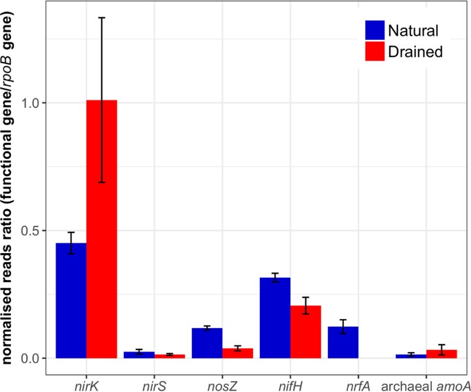 differences in microbial community structure and nitrogen cycling in