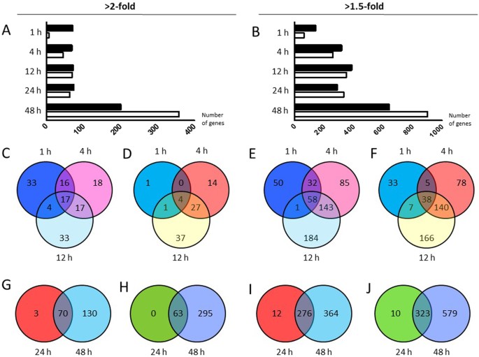 mechanical stretch induced transcriptomic