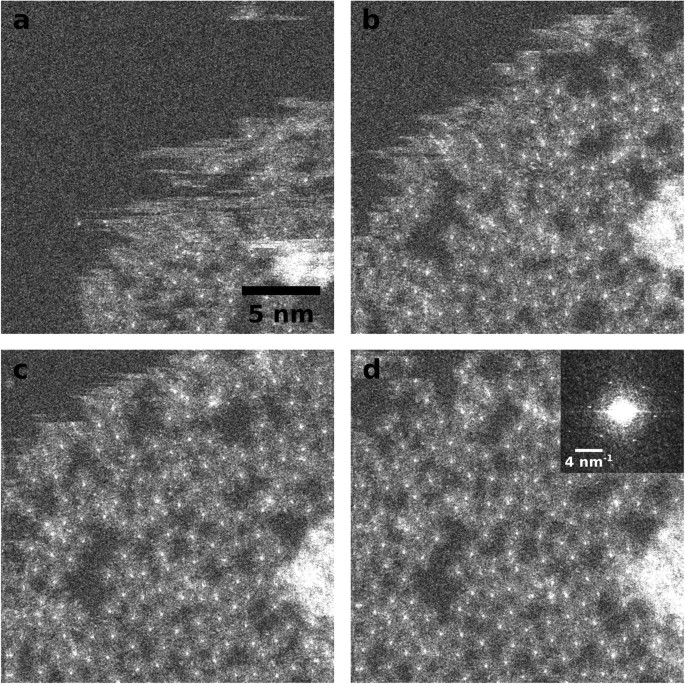 Insights into radiation damage from atomic resolution scanning