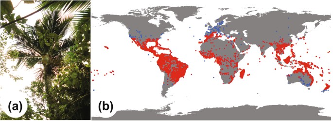 Endemic Wildlife: Their Importance For Nature As A Whole - Sigma Earth