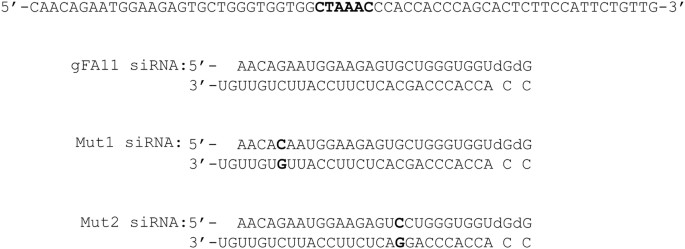 Identification of p38 mapk as a novel therapeutic target for friedreich’s ataxia