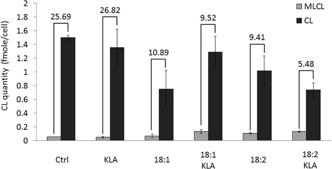 Phosphatidylglycerol Incorporates into Cardiolipin to Improve