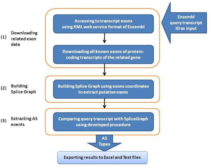 splicedetector a software for detection of alternative splicing