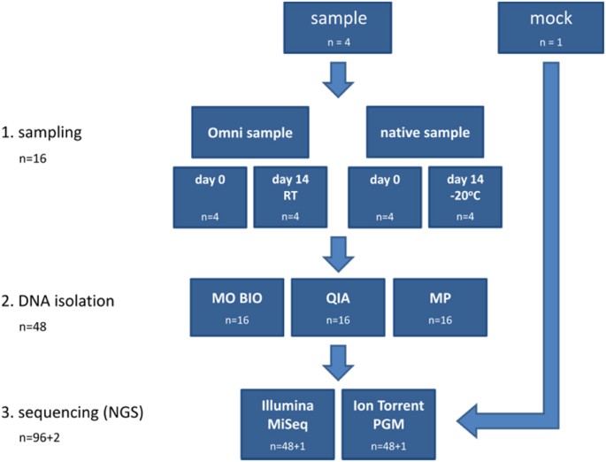 Methodology Challenges In Studying Human Gut Microbiota Effects Of Collection Storage Dna Extraction And Next Generation Sequencing Technologies Scientific Reports Methodology Challenges In Studying Human Gut Microbiota Effects Of Collection Storage Dna Extraction And Next Generation Sequencing Technologies Scientific Reports