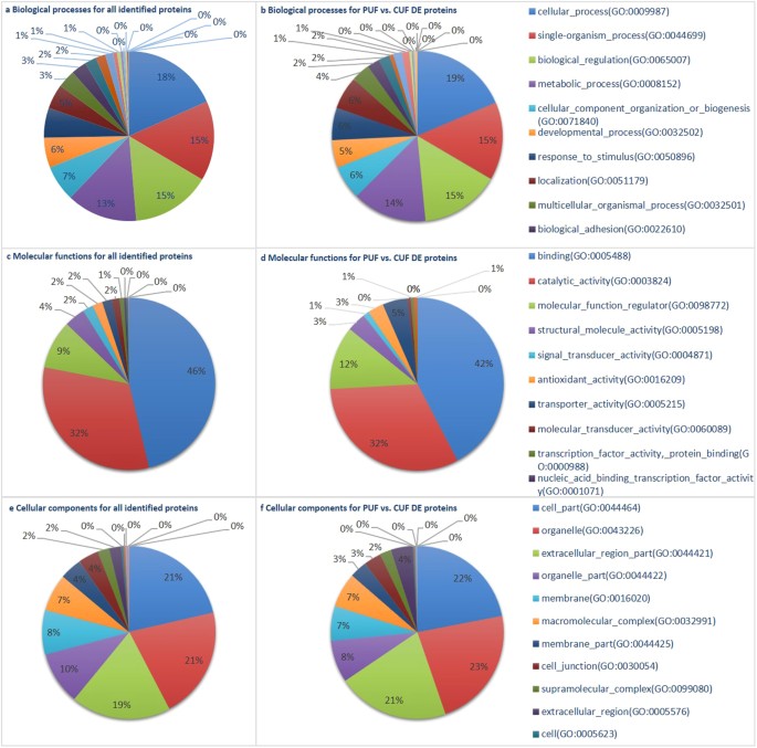 Proteins In The Uterine Fluid Uf And Of Differentially Expressed De Proteins In The Uterine Fluid Of Pregnant P Versus Cyclic C Mares Proteins In The Uterine Fluid Uf And Of Differentially Expressed De Proteins In The Uterine Fluid Of Pregnant P Versus Cyclic C Mares