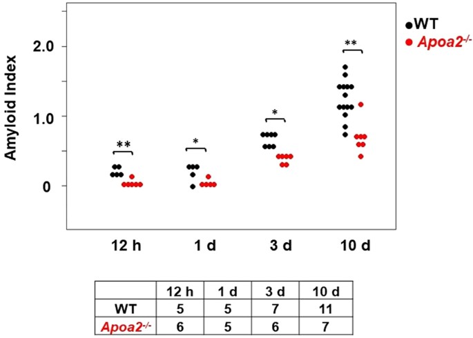 Apolipoprotein A Ii Induces Acute Phase Response Associated Amyloidosis In Mice Through Conformational Changes Of Plasma Lipoprotein Structure Scientific Reports