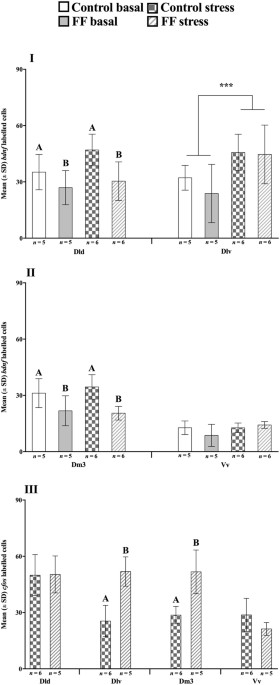 Early Life Stress Can Have Lasting >> Early Life Stress Induces Long Term Changes In Limbic Areas Of A Early Life Stress Can Have Lasting >> Early Life Stress Induces Long Term Changes In Limbic Areas Of A