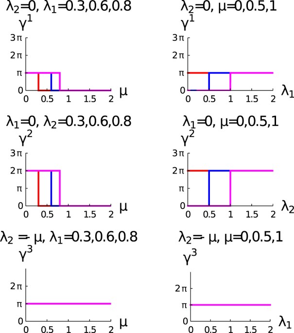 Quantization of geometric phase with integer and fractional topological  characterization in a quantum Ising chain with long-range interaction |  Scientific Reports