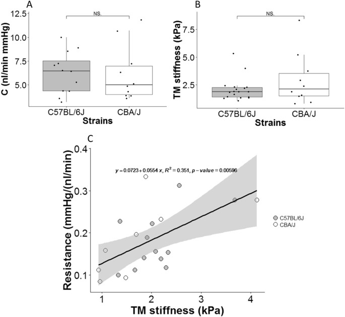 The relationship between outflow resistance and trabecular 