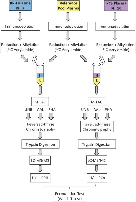 Multi Lectin Affinity Chromatography And Quantitative Proteomic Analysis Reveal Differential Glycoform Levels Between Prostate Cancer And Benign Prostatic Hyperplasia Sera Scientific Reports