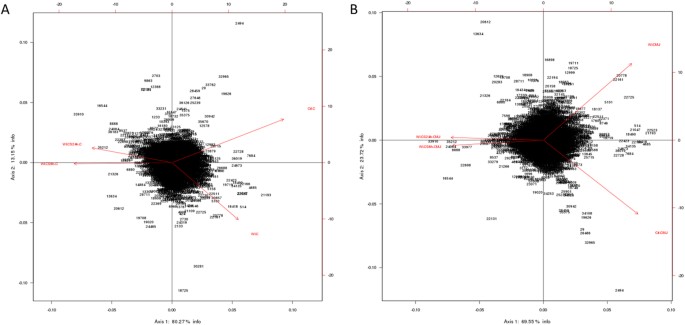 Dynamic transcriptomic analysis of ischemic injury in a porcine pre-clinical model mimicking donors deceased after circulatory death