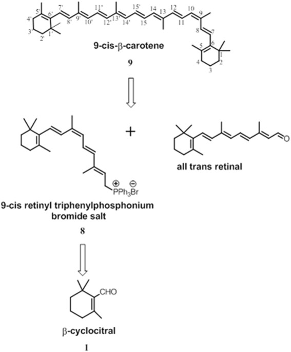 Synthetic 9 cis betacarotene inhibits photoreceptor degeneration in