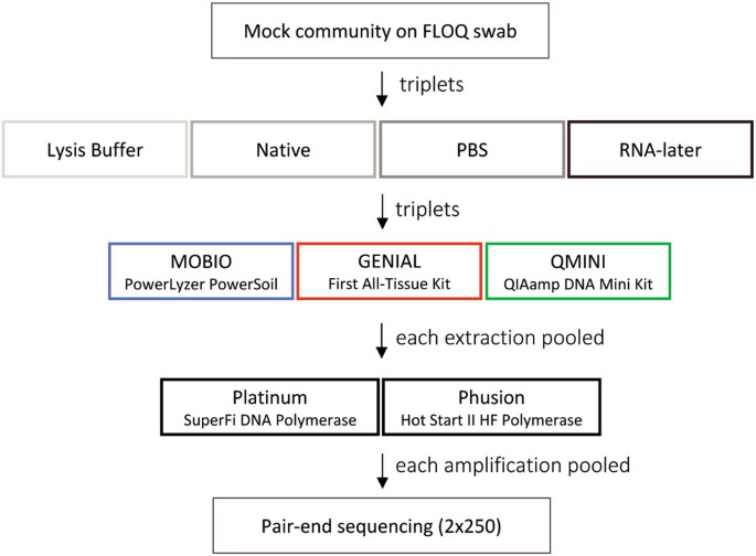 Storage Buffer Dna Extraction Method