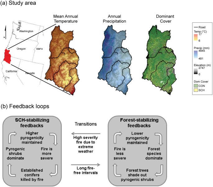 Disequilibrium Of Fire Prone Forests Sets The Stage For A Rapid - the klamath for!   est landscape biome transition and forest dynamic feedbacks triggering !   transitions a study area temperature precipitation