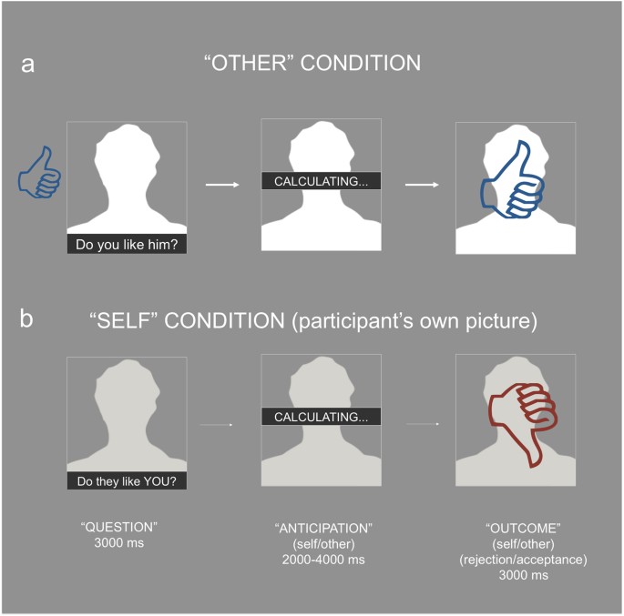 The Salience Of Self Not Social Pain Is Encoded By Dorsal Anterior Cingulate And Insula Scientific Reports The Salience Of Self Not Social Pain Is Encoded By Dorsal Anterior Cingulate And Insula Scientific Reports