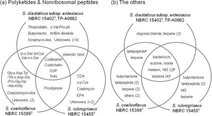 polyketide synthase gene clusters