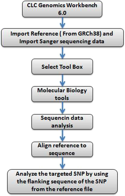 clc genomics workbench snp clc genomics workbench snp