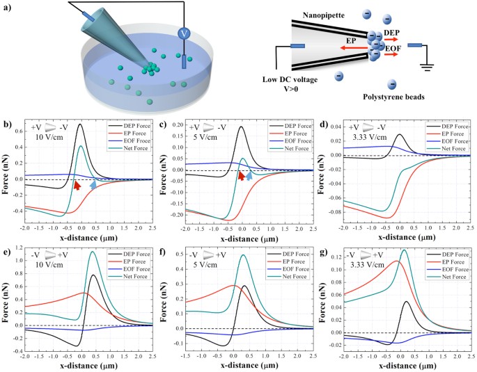 A Low Voltage Nanopipette Dielectrophoretic Device For Rapid