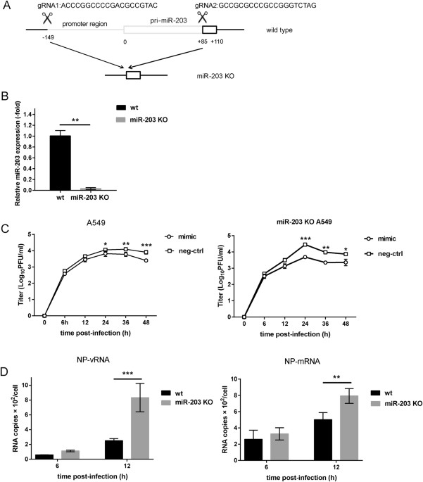 up regulation of microrna 203 in influenza a virus infection virus vs cell venn diagram