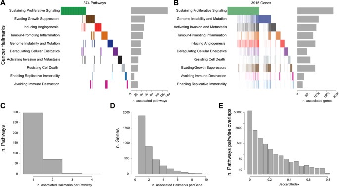 pathway based dissection of the genomic heterogeneity of cancer