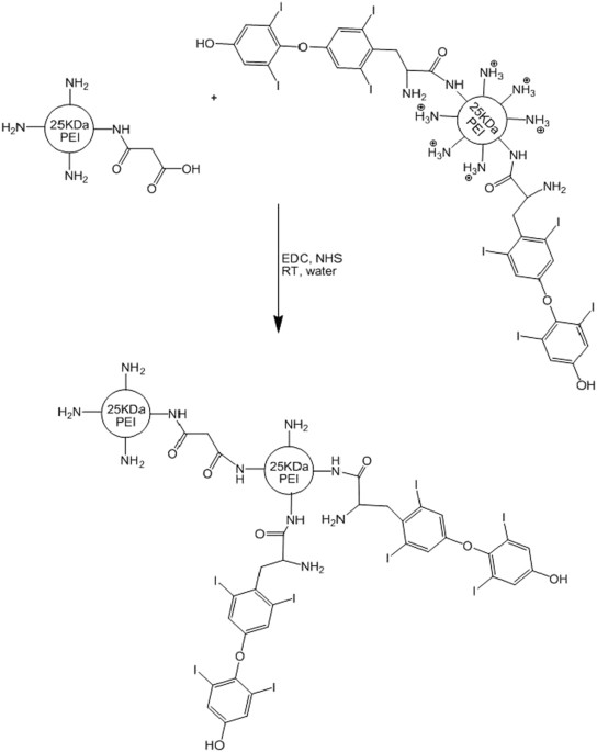delivery of plasmid dna