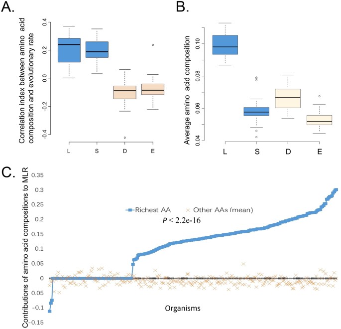 Amino acid compositions contribute to the proteins’ evolution under the