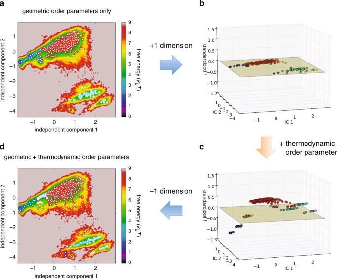 examining a thermodynamic order parameter of protein folding
