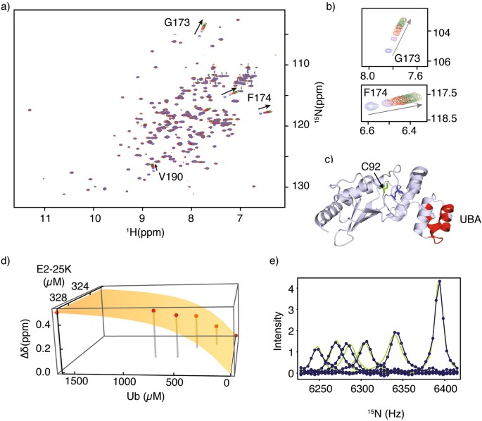 a) 1 H-15 N HSQC spectra of 15 N-SUMO bound to parent SIM (black) or