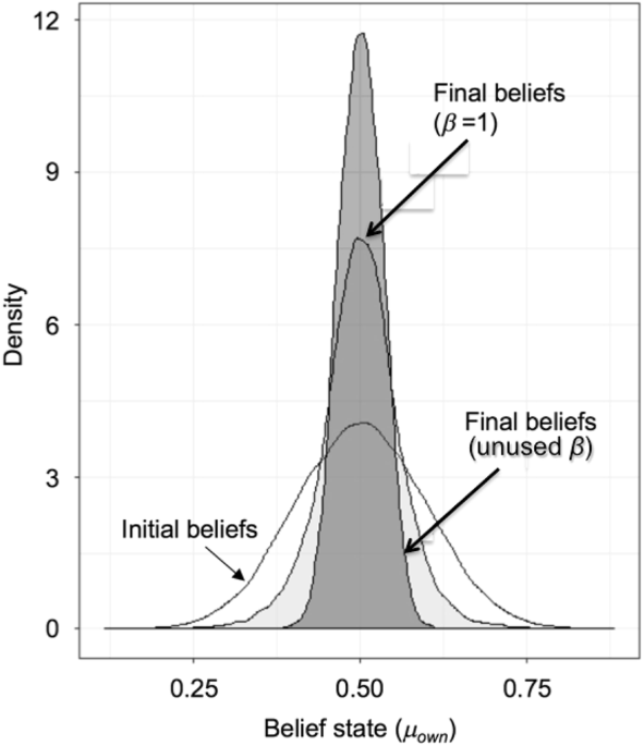 Large networks of rational agents form persistent echo chambers - Scientific Reports