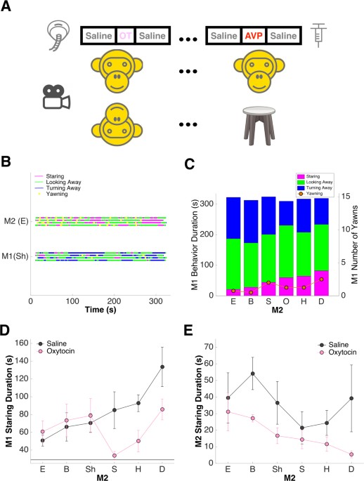Is Vasopressin Whats Lacking In Brains >> Oxytocin And Vasopressin Flatten Dominance Hierarchy And Enhance Is Vasopressin Whats Lacking In Brains >> Oxytocin And Vasopressin Flatten Dominance Hierarchy And Enhance