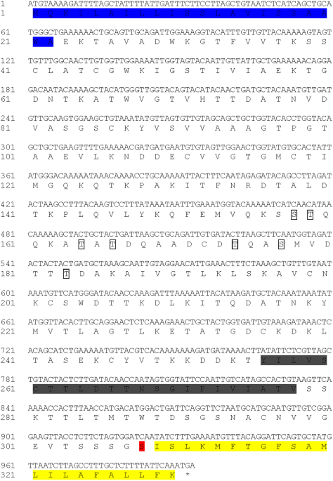 Characterization and immune regulation role of an immobilization antigen  from Cryptocaryon irritans on groupers | Scientific Reports