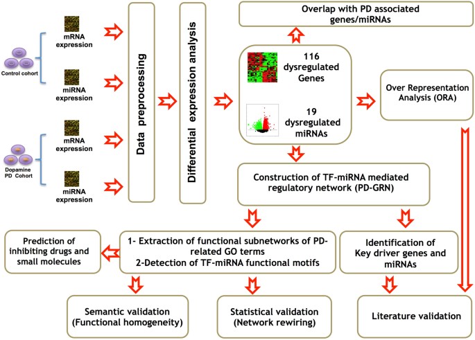 A workflow for the integrative transcriptomic description of molecular pathology and the suggestion of normalizing compounds, exemplified by parkinson