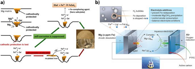 Performance boost for primary magnesium cells using iron complexing agents as electrolyte additives