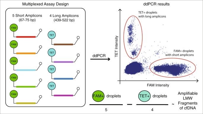jeder merrill lynch broker, der mit bitcoin handelt, wird entlassen bitcoin-investition oder nicht