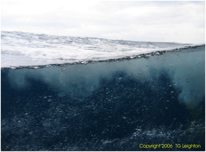 Asymmetric Transfer Of Co 2 Across A Broken Sea Surface Scientific Reports