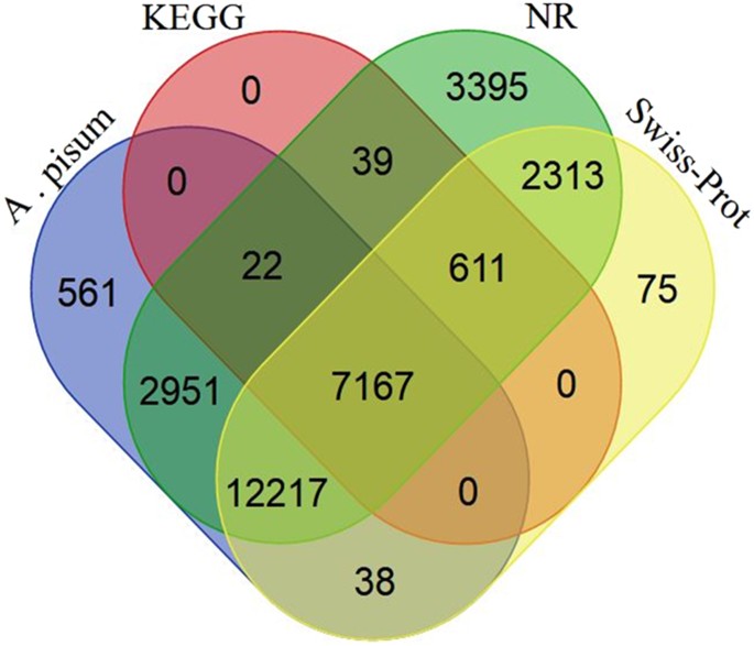 where in the venn diagram would you place the term seed when sexual and asexual venn diagram