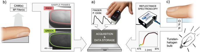 New Insights Into The Origin Of Remote Ppg Signals In Visible Light And Infrared Scientific Reports New Insights Into The Origin Of Remote Ppg Signals In Visible Light And Infrared Scientific Reports
