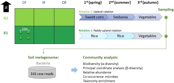 Organic Crop Rotation Chart