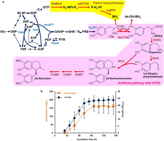 Microbial Production Of Novel Sulphated Alkaloids For Drug Discovery Scientific Reports