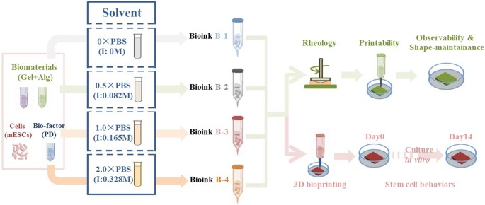 Tuning Alginate-Gelatin Bioink Properties by Varying Solvent and Their  Impact on Stem Cell Behavior | Scientific Reports
