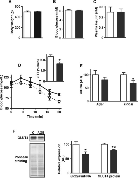 Advanced glycation end products-induced insulin resistance involves repression of skeletal muscle glut4 expression