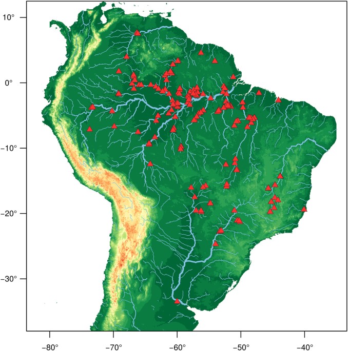 One thousand DNA barcodes of piranhas and pacus reveal geographic structure  and unrecognised diversity in the Amazon | Scientific Reports
