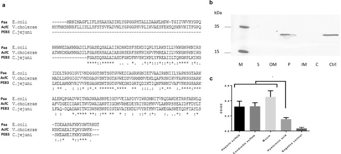 Vibrio Cholerae Accessory Colonisation Factor Acfc A Chemotactic Protein With A Role In Hyperinfectivity Scientific Reports