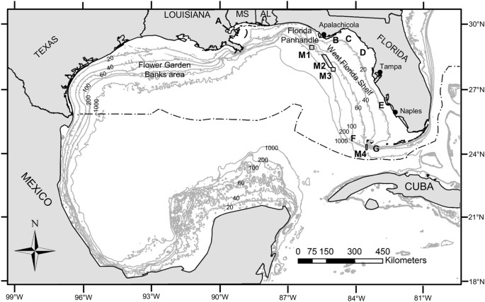 Texas Gulf Coast Fish Identification Chart