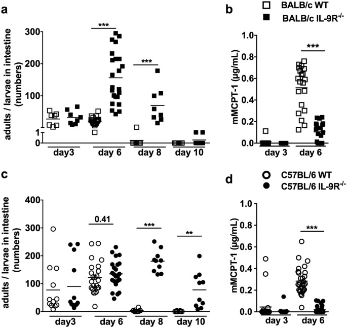 Interleukin-9 promotes early mast cell-mediated expulsion of Strongyloides  ratti but is dispensable for generation of protective memory | Scientific  Reports