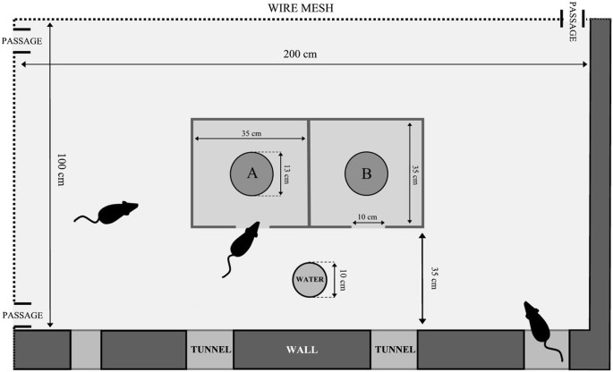 Create an image of rats fleeing from a menacing and carnivorous